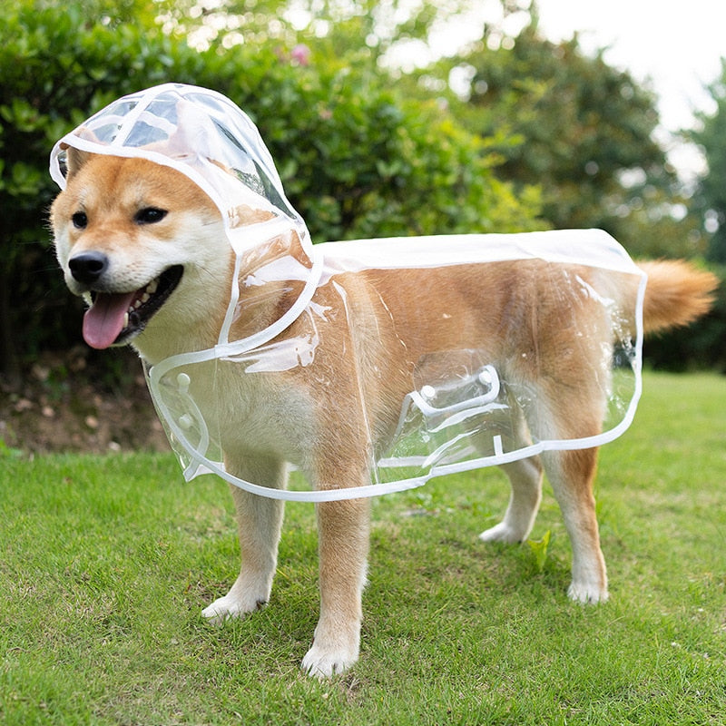 Pet Dog Puppy Transparent Rainwear