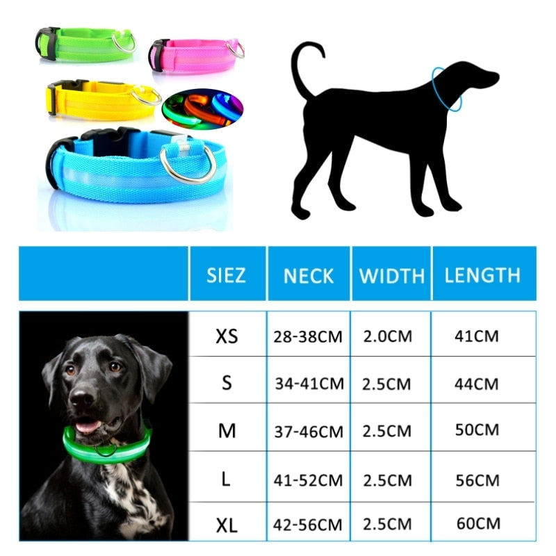 Dog Collar Led Light Anti-lost