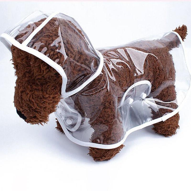 Pet Dog Puppy Transparent Rainwear