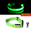 Dog Collar Led Light Anti-lost