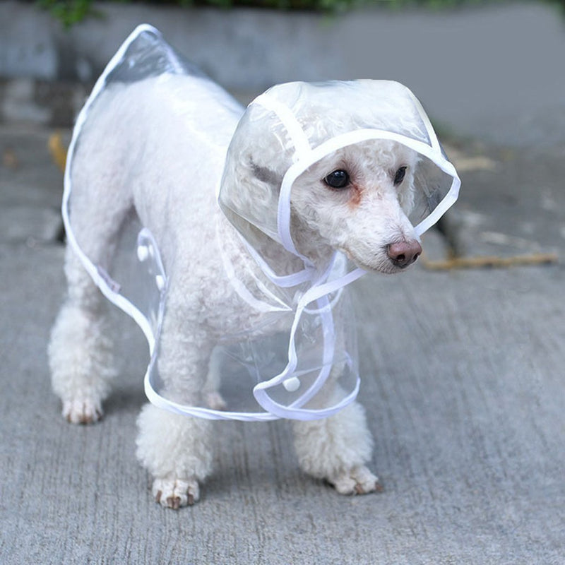 Pet Dog Puppy Transparent Rainwear