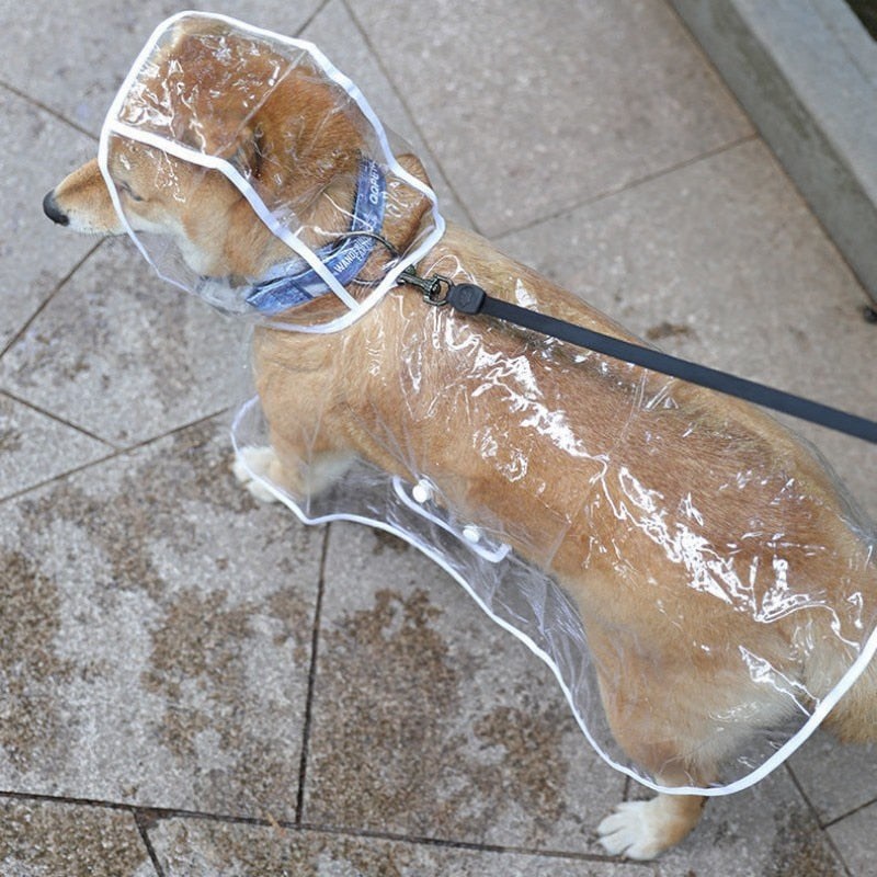 Pet Dog Puppy Transparent Rainwear