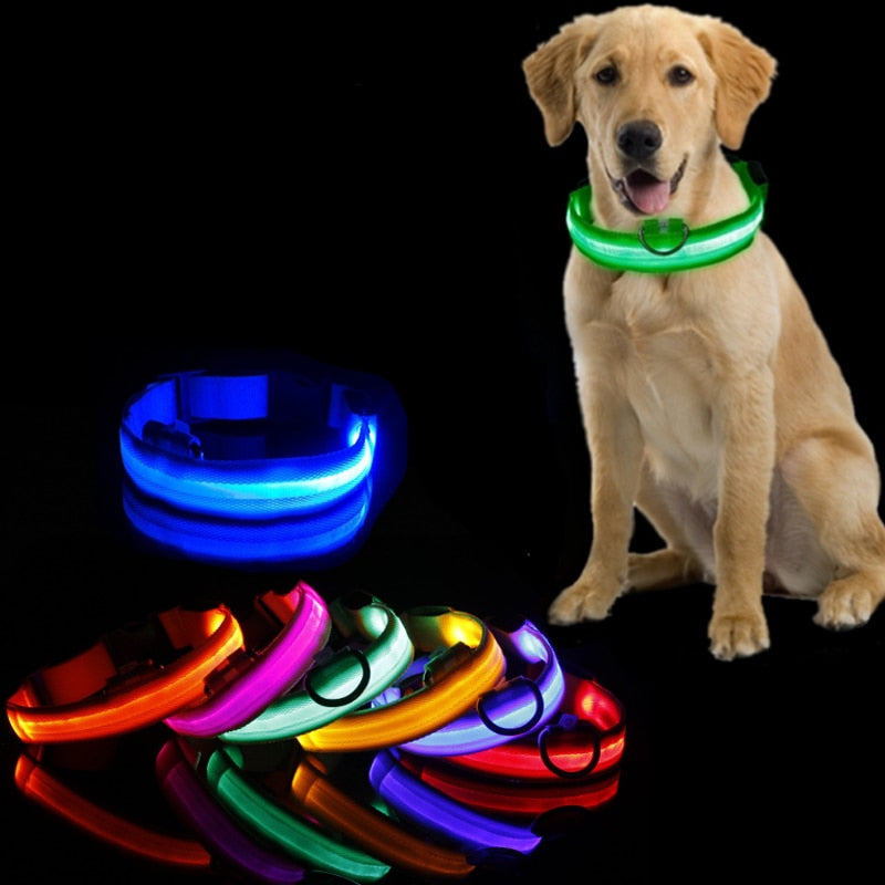 Dog Collar Led Light Anti-lost